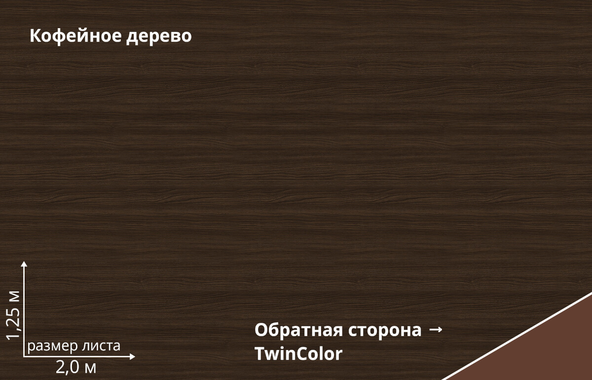 Кофейное дерево TwinColor